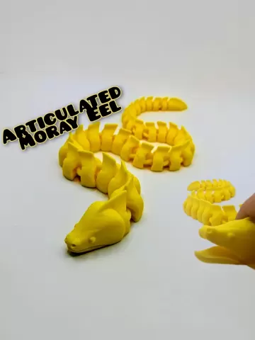 Articulated Moray Eel
