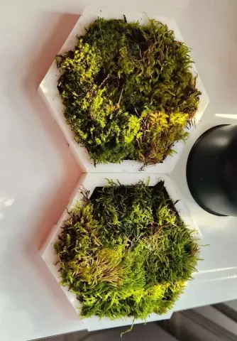 Vertical Planter