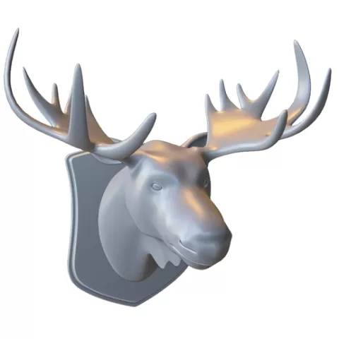 Mounted Deer Head Trophy