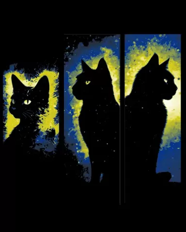 Magical Power and Mystery of the Black Cat - Set of 3 Bookmarks