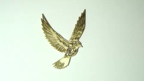 Bird Flight