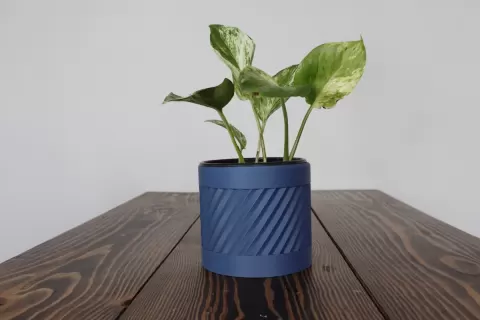 Rise Planter