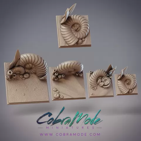 Nautilus Square Base Pack (4pcs)