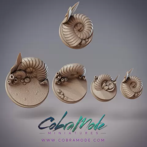 Nautilus Base Pack (4pcs)