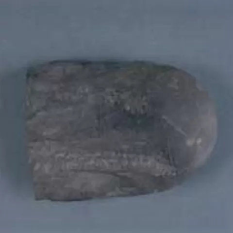 Neolithic Axehead by The Hunt Museum