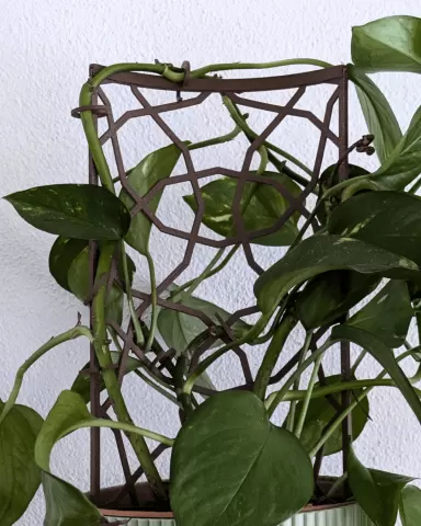 Modular Trellis Lattice02
