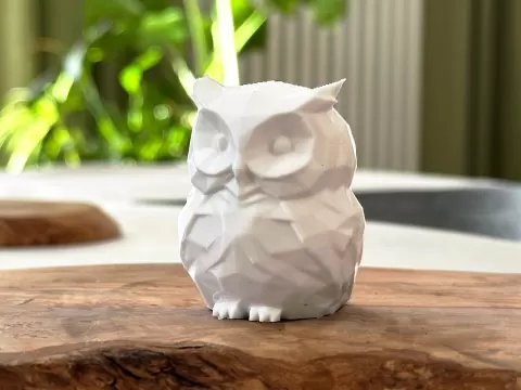 Cute Low Poly Owl (No Supports)