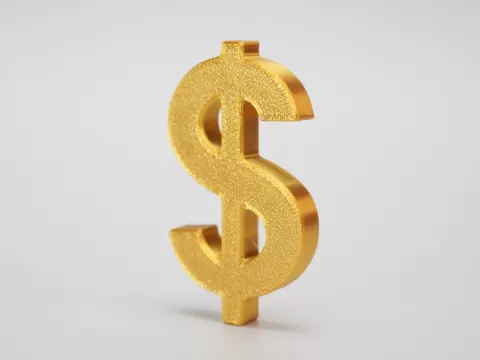 Raised Dollar Sign Symbol | Modern 3D Decor
