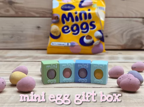 Mini Egg Gift Box