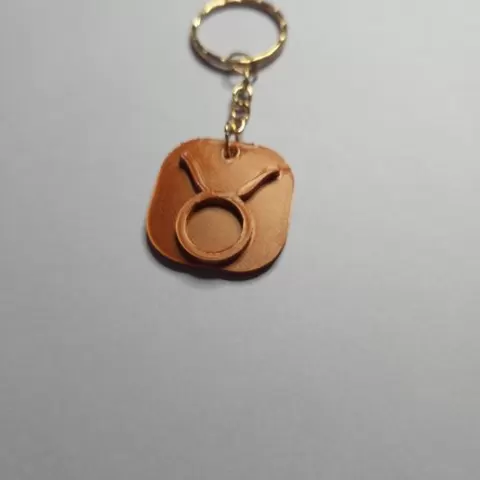Taurus key ring