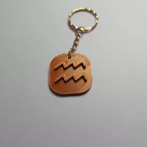 Aquarius key ring