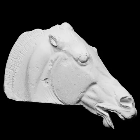 Head of the Horse of Selene by SMK - Statens Museum for Kunst