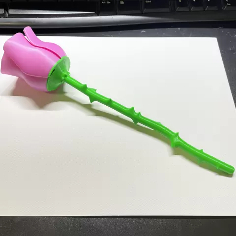 Better Rose Stem