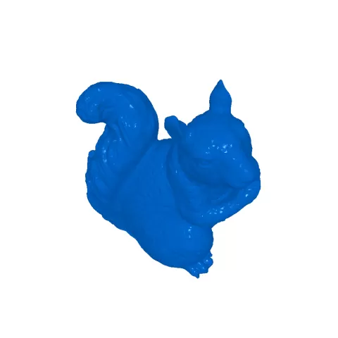 squirrel - jack huang