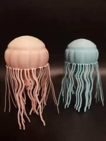 JellyFish Simple Flexi