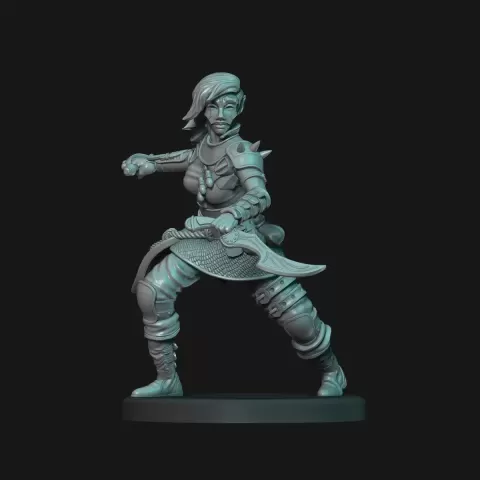 Dark Elf - D&D Mini