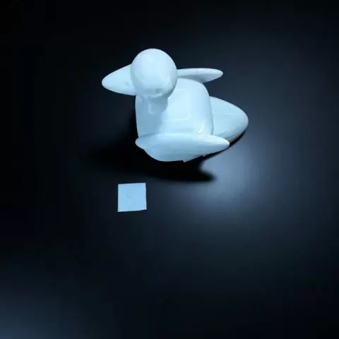 compartment duck by charles cobbler