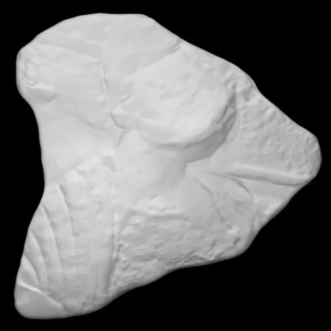 Parthenon Frieze _ South XL, 120 fragment by Scan The World