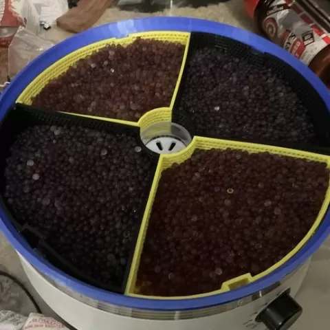 Desiccant dehydrator inserts