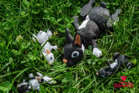 Rabbit