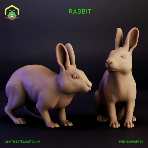 Rabbit by The Toadstool Weaver