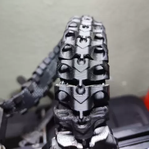 Cable spinal design - xEwolis