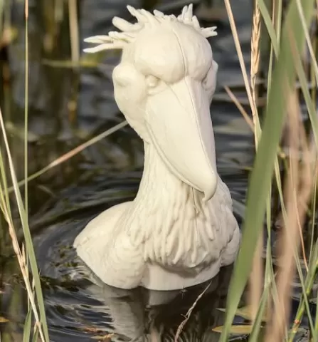 Shoebill Stork