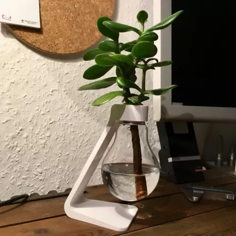 Light Bulb Vase by Paul Wüst