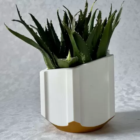 Planter by Duncan Smith
