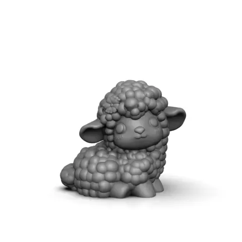 Little sheep