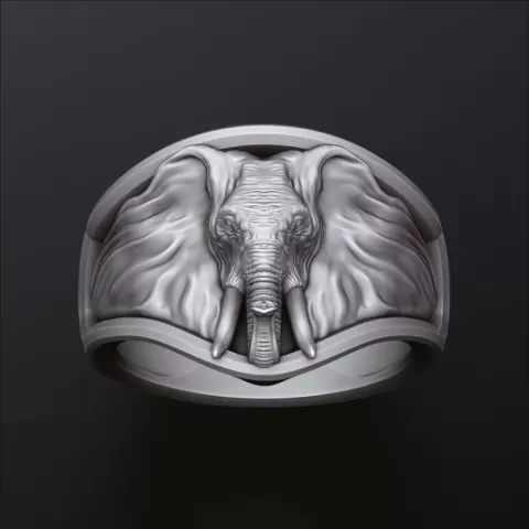 Elephant Ring N2 3D print model
