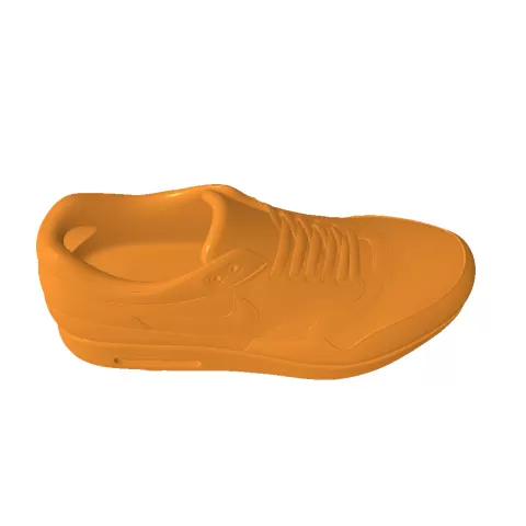 Shoe