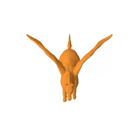Pegasus