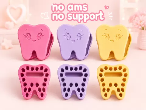 Cute Tooth Fairy & Memory Box (2-in-1 Design)
