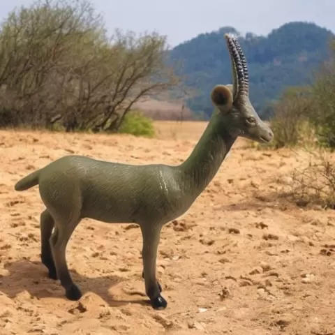 Gazelle