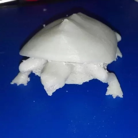 Turtle by PrimeMac Studio