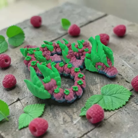 Raspberry Dragon