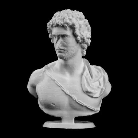 Bust of a Young Man at The Metropolitan Museum of Art, New York by met