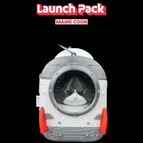 Launch Pack - Maine Coon by Stlflix