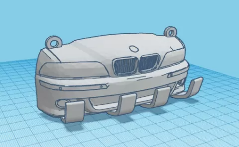 BMW E39 key holder