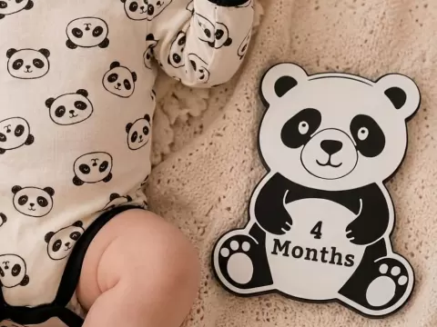 "Panda" milestone plaque for baby photos 3 month