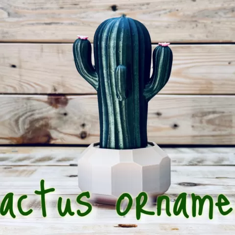 Cactus Ornament by ENIQUE3D
