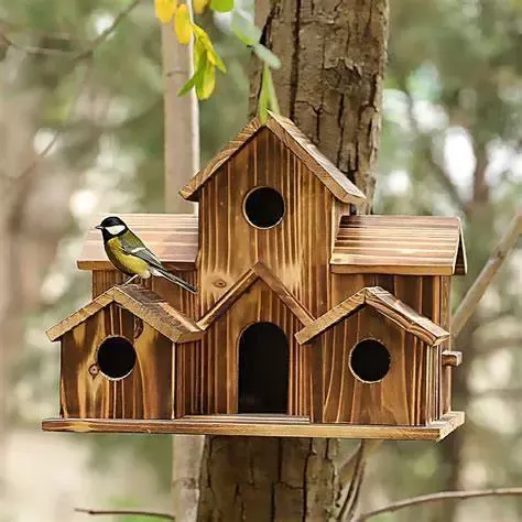 bird house
