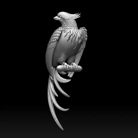 bird by Dmitry Tishchenkov