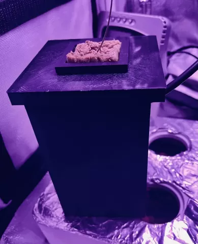 Hydro Pot - Mini Dwc - Brew78