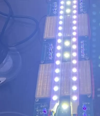 Annual Daylight Timer Lights