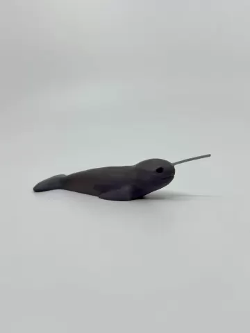 Narwhal