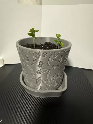 Plant Pot