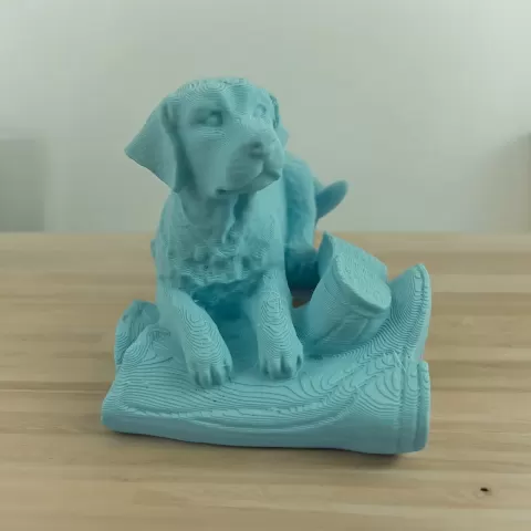 GOLDEN RETRIEVER BOOTS - Motek3D