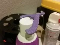 bird